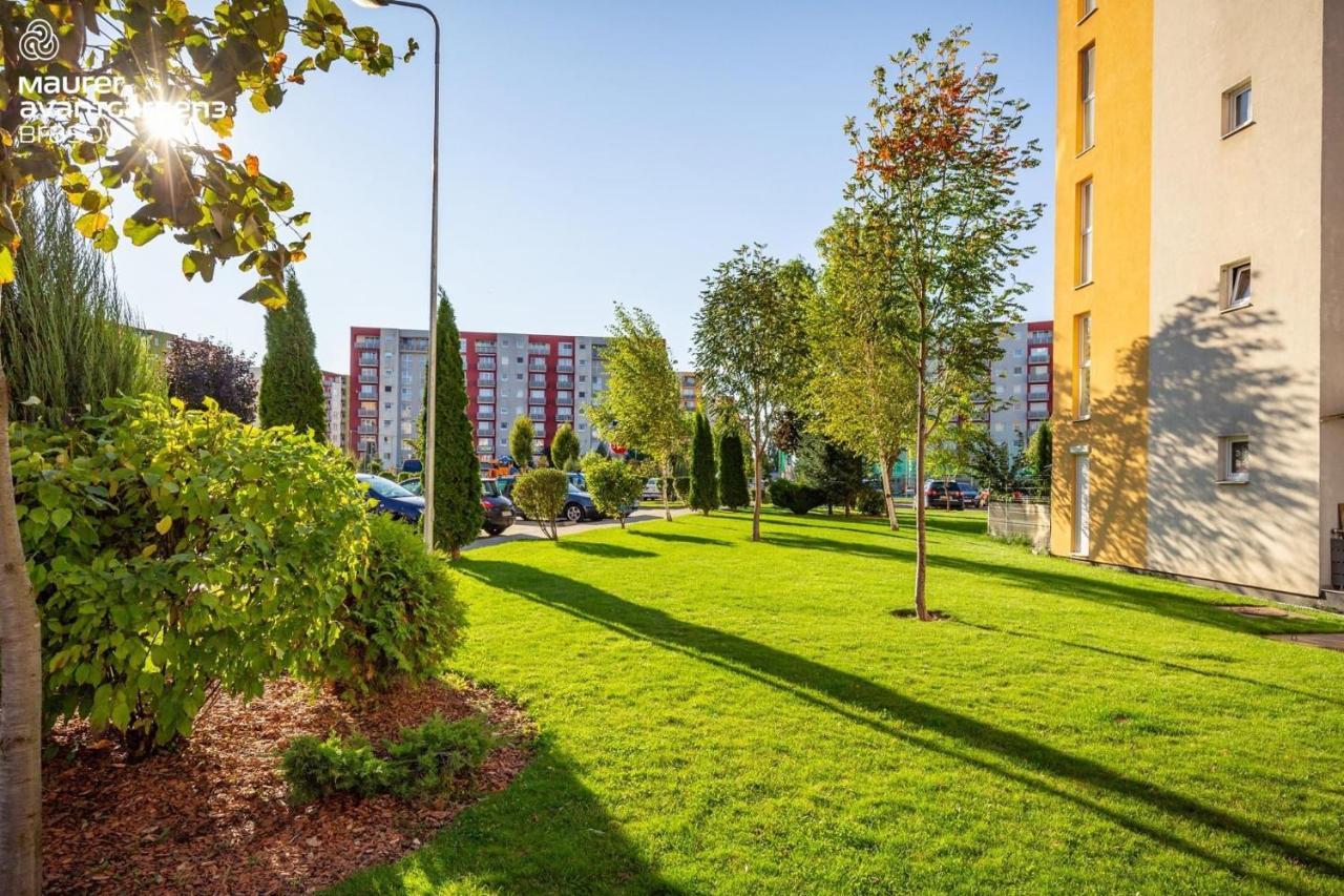 Apartment Richy Braşov Exterior foto